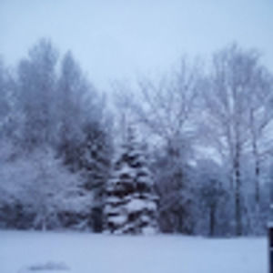 Meet your Posher, Jane